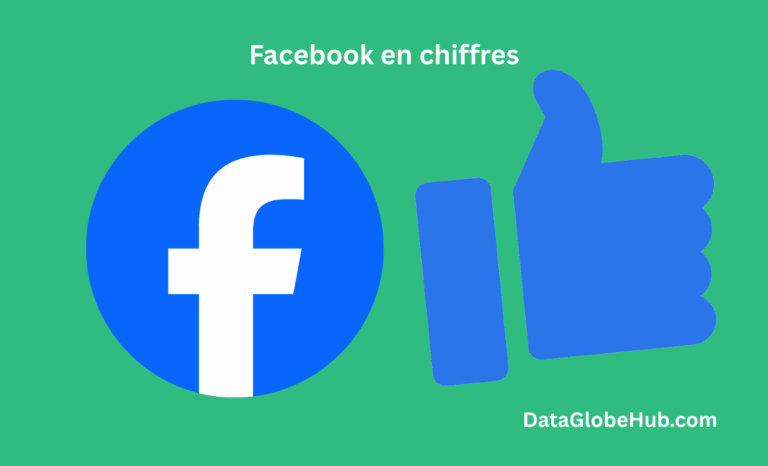 Facebook en chiffres